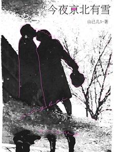 今夜京北有雪小说在哪里可以看